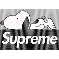 Brand Catalog-ZX 1026